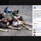 Illustration for article titled Toddlers Depict Walking Dead’s Bloodiest Scenes in Disconcerting Photo Shoot